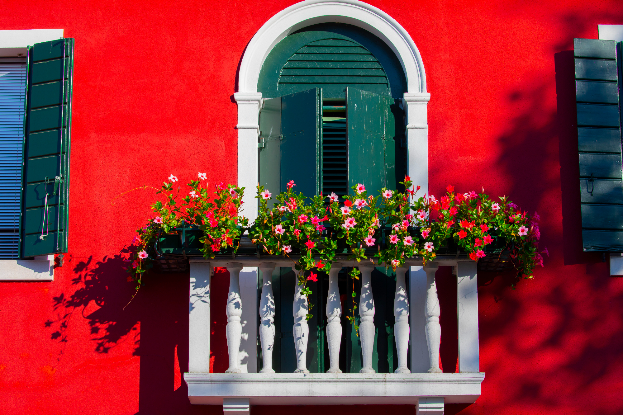 Balkonske rože in planinski dom